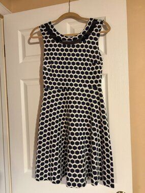 Fit and Flare Dress Navy and White